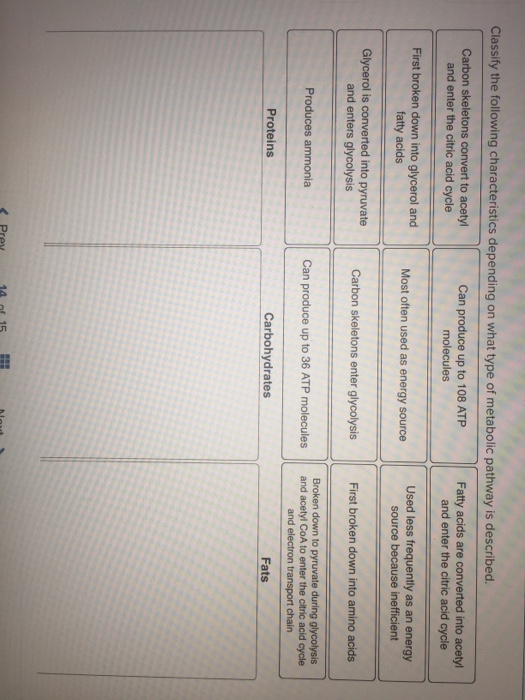 radiocarbon method of dating