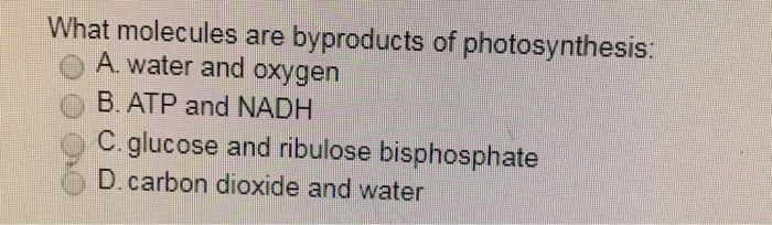 Solved What Molecules Are Byproducts Of Photosynthesis A Chegg Com