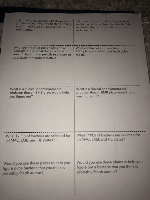 List three tests you could try if you knew List three tests you could try if you knew you had a Gram Positive bacteria, to helpyou had a Gram Positive bacteria, to help you further figure out its characteristics you further figure out its characteristics and identity. and identity What are the color possibilities on an EMB plate, and what does each colorEMB plate, and what does each color mean? Use colored pencils to answer so mean? your brain remembers better) What are the color possibilities on an What is a clinical or environmental What is a clinical 

<div class=