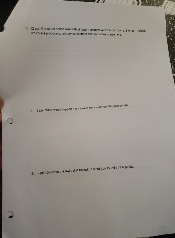 Solved 7 2 Pts Construct A Food Web With At Least 4 An