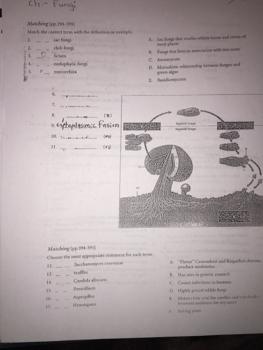 Match The Correct Term With The Definition Or Chegg Com