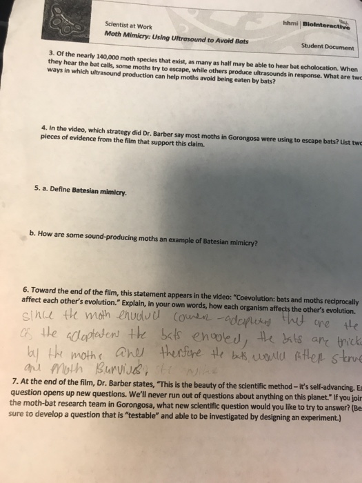 Solved OVERVIEW This worksheet complements the short video | Chegg.com