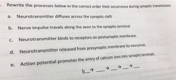Solved Rewrite the processes below in the correct order | Chegg.com