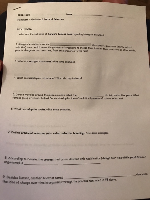 Natural selection worksheet pdf picture