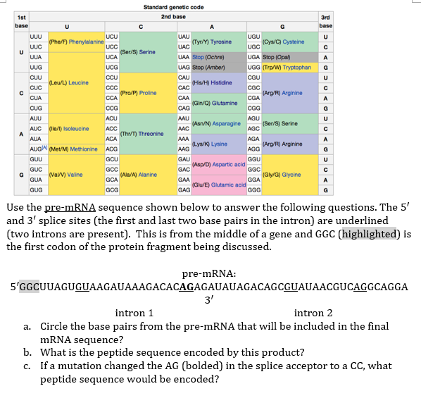 Solved Standard Genetic Code 2nd Base 1st Uuc Phe R Phen Chegg Com