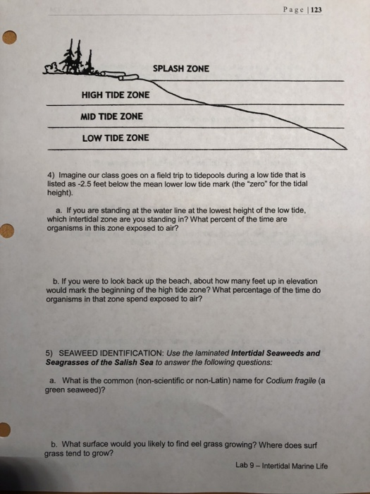 Solved Page 123 Splash Zone High Tide Zone Mid Tide Zon Chegg Com