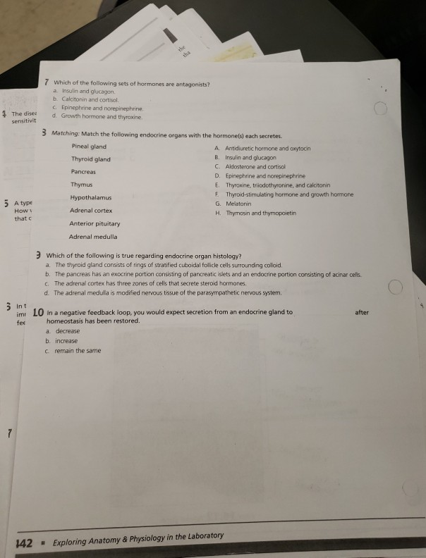 epinephrine and norepinephrine feedback loop