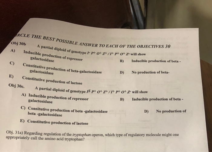 IBLE ANSWER TO EACH OF THE OBJECTIVES 30 Obj 30b al diploid of genotype - pt ot z+/rt p otz will show A) Inducible production of repressor C) Constitutive production of beta-galactosidase E) Constitutive production of lactose Obj 30c. A partial diploid of genotype IS P B) Inducible production of beta- galactosidase D) No production of beta- galactosidase ot zt/t pt ot Z will show B) Inducible production of beta - A) Inducible production of repressor galactosidase D) No production of C) Consitutive production of beta -galactosidase beta -galactosidase E) Constitutive production of lactose Obj. 3la) Regarding regulation of the tryptophan operon, which type of regulatory molecule might one appropriately call the amino acid tryptophan?
