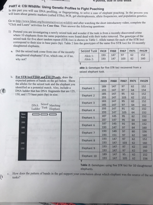 4points Due In One Week Part 4 Csi Wildlife Using Chegg 