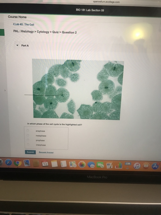 Solved BIO 181 Lab Section O9 Course Home CLab 82 The Ce Chegg
