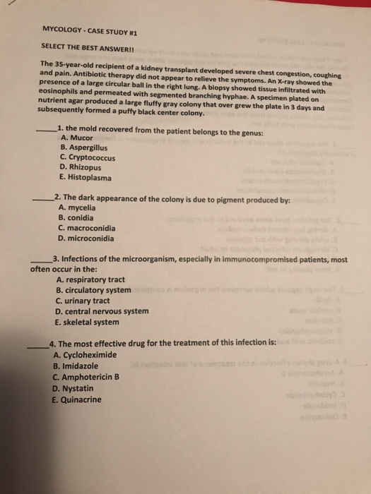 Deloitte case study answers image