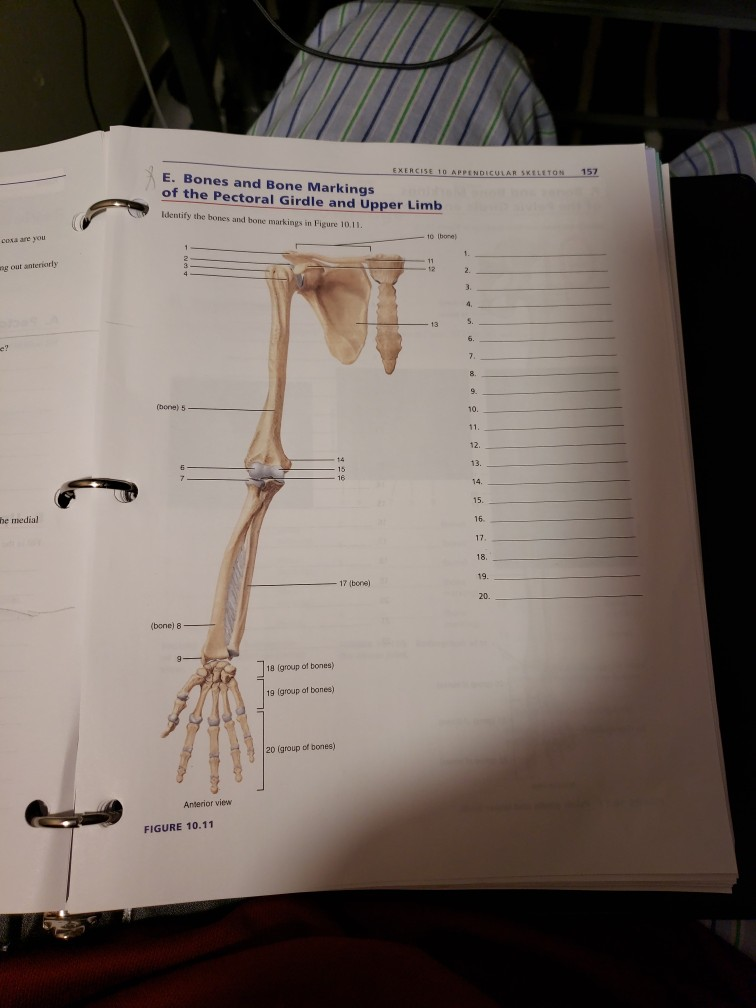 Bones homework 05 picture