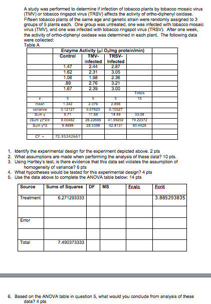Tmv questions essay 07 picture