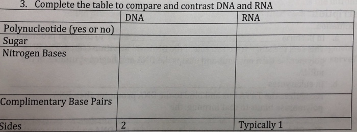 Compare And Contrast Dna And Rna Chart