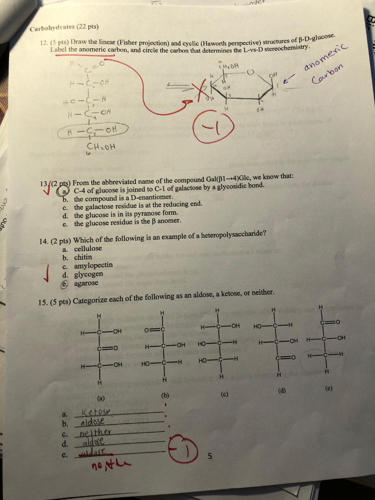 ... (22 Solved: Linear The Carbohydrates Pts) (5 Pts) 12. Draw