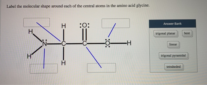 Label the molecular shape around each of the central atoms in the amino acid glycine.
Answer Bank
H
:0:
trigonal planar bent
