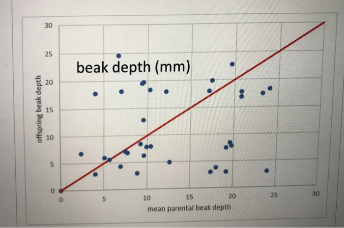 30 25 beak depth (mm) a 20 S 15 10 0 0 10 15 20 25 30 mean parental beak depth