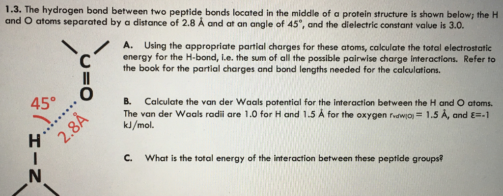 1 3 The Hydrogen Bond Between Two Peptide Bonds L Chegg Com