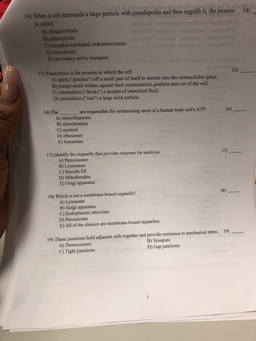 14 When A Cell Surounds A Large Particle With Chegg Com