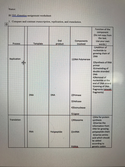 comparing dna replication and transcription worksheet answers