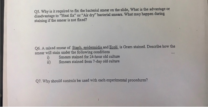 Solved Why Is It Required To Fix The Bacterial Smear On T Chegg Com