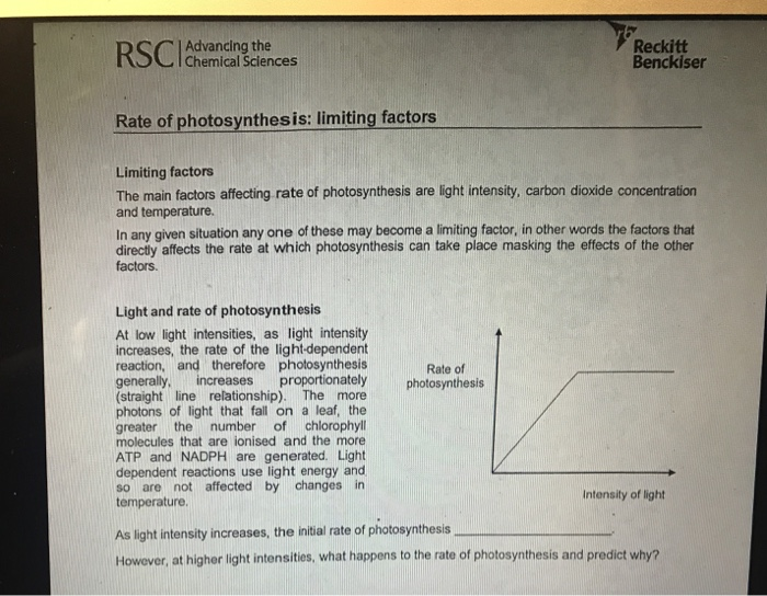 factors that limit photosynthesis