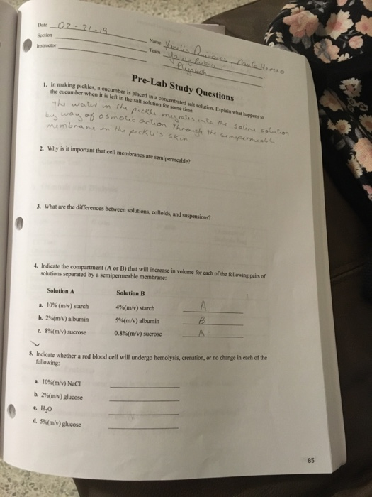 Solved Tesm Pre Lab Study Questions I In 1 In Making Pic Chegg Com