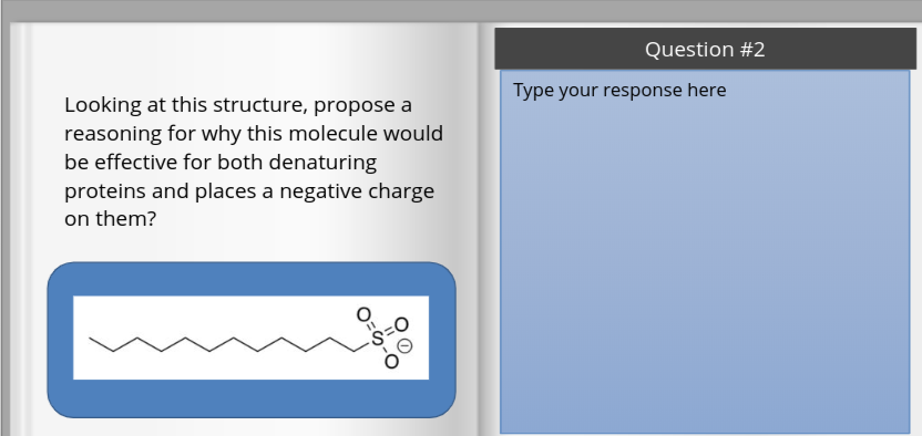 Question 2 Type Your Response Here Looking At This Chegg Com