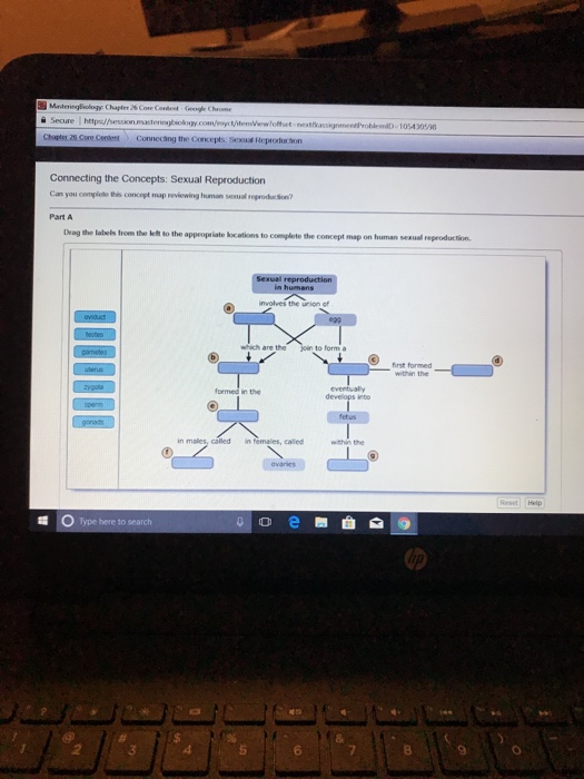 Solved Ecure Ntp Fession Ny T Htemwewloft