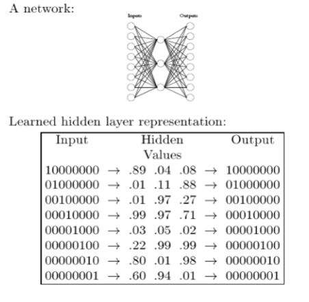 A network Learned hidden layer representation: Hidden Values 10000000.89 .04 .0810000000 01000000.01 1188 01000000 00100000.0