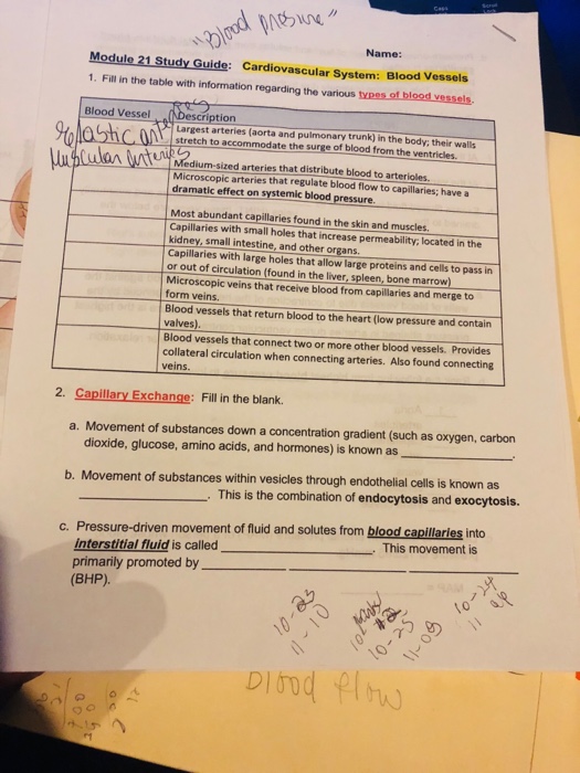 Solved: Name: Module 21 Study Guide: Cardiovascular System ...