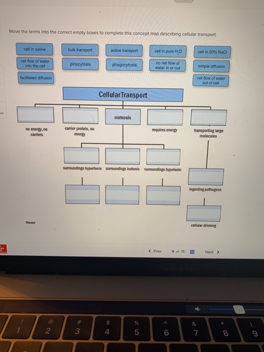 Cellular Transport Concept Map Solved: Move The Terms Into The Correct Empty Boxes To 