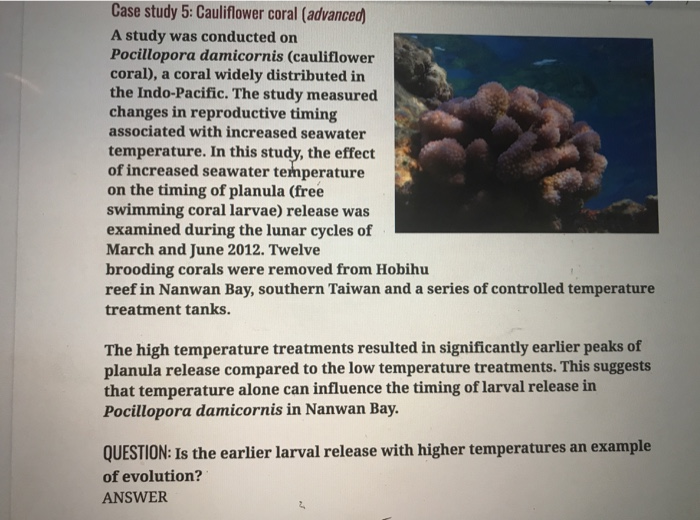 Coral lab case study image