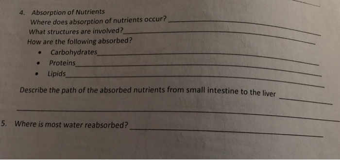 Absorption of Nutrients Where does absorption of
