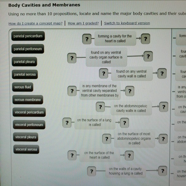 Body Cavities And Membranes Concept Map Solved: I Cannot Figure Out How To Match These All Togethe 