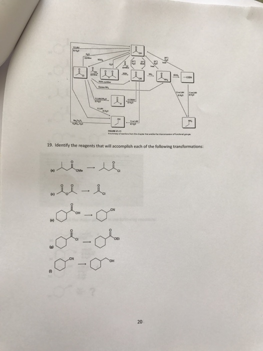 Question & Answer: 19. Identify the reagents that will accomplish each of the following transformations 20..... 1 19. Identify the reagents that will accomplish each of the following transformations 20