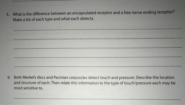 What Is The Difference Between An Encapsulated Chegg Com