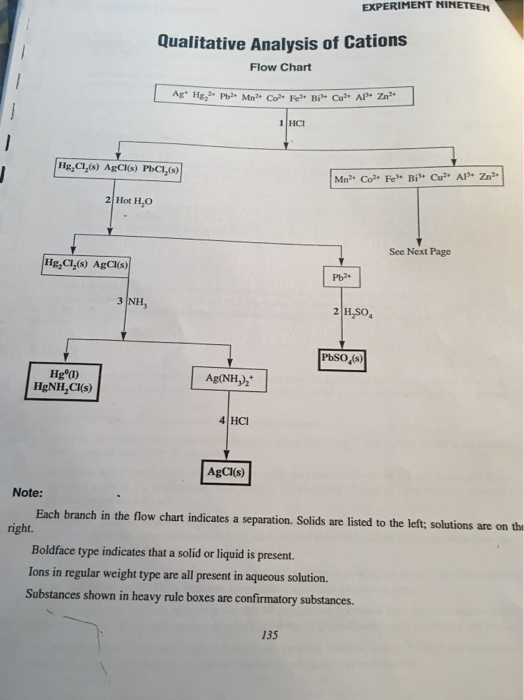 qualitative analysis of cations flow chart