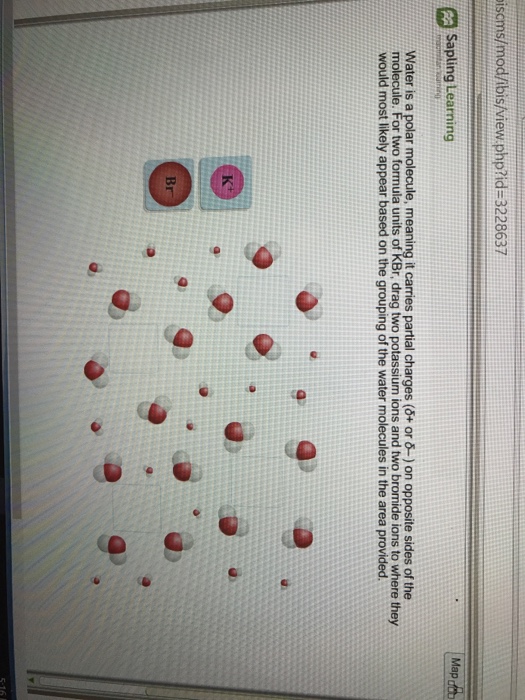 Solved Isoms/mod/ibis/view Php?id 3228637 Sapling Learnin