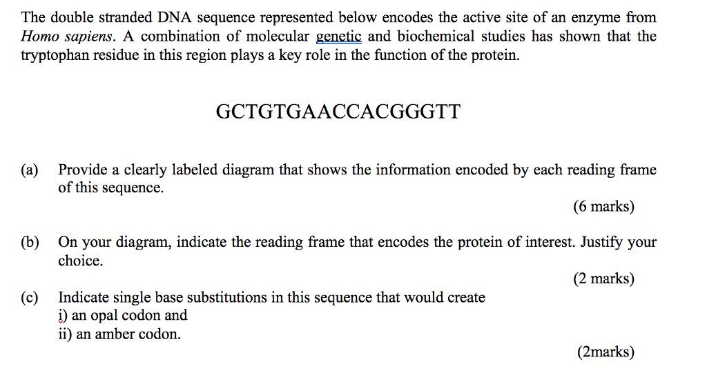 Solved The Double Stranded Dna Sequence Represented Below Chegg Com