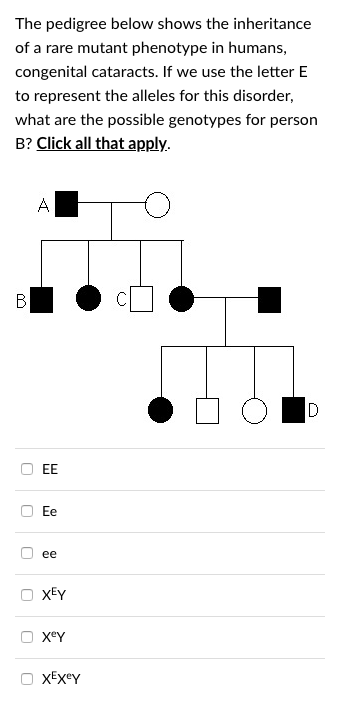Autosomal recessive pedigree image