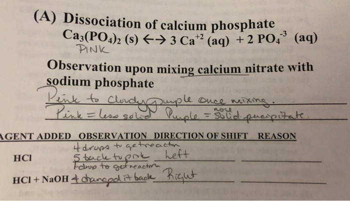 Solved There Is A Dissociation Of Calcium Phosphate Shown Chegg Com