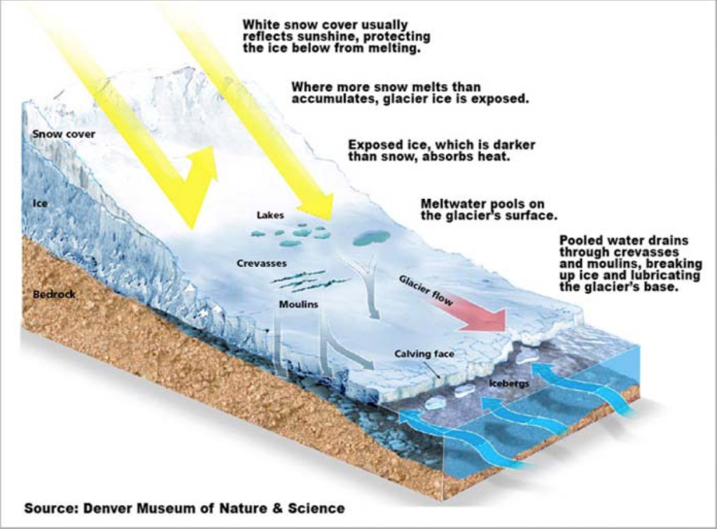 Where more. Как добывают воду из ледников. Саншай Протект Саншайн. Diagram of the Glacier Descent. Инфографика ледникового сокращение.