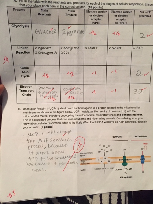 Solved Fill In The Table For A And Answer B And Provide J Chegg Com