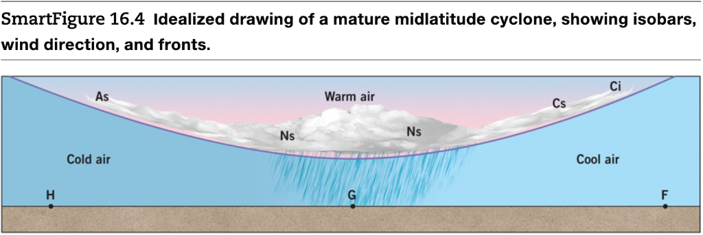 Midlatitude storms in a moister world: lessons from idealized