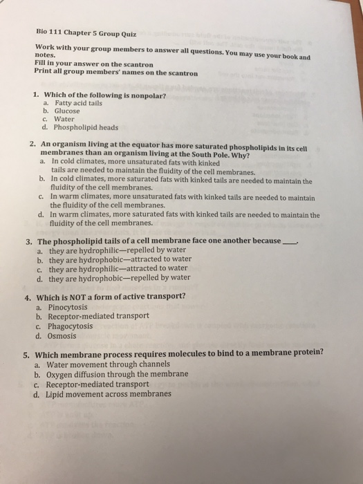 Chapter 5 Anatomy And Physiology Test Anatomy Drawing Diagram