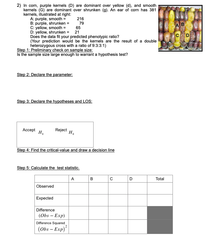 Solved 2 In Corn Purple Kernels D Are Dominant Over Y Chegg Com