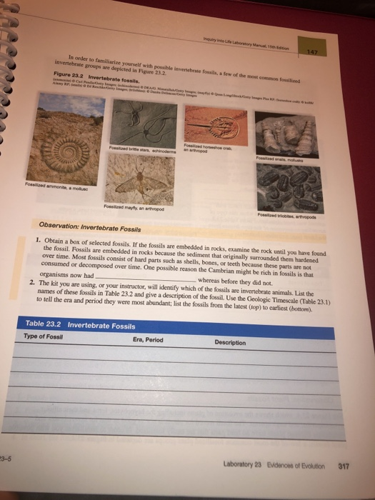 Inquiry Inco Life Laboratory Manual, 15th Edition