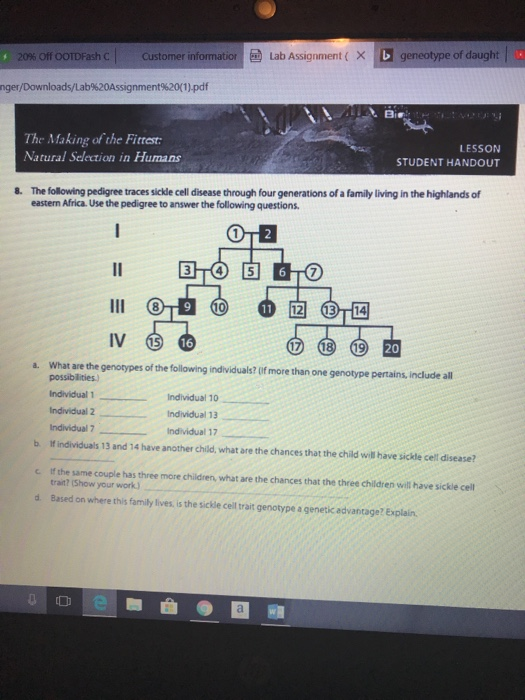 Solved Gi Lab Assignment X Geneotype Of Daught Of Chegg Com