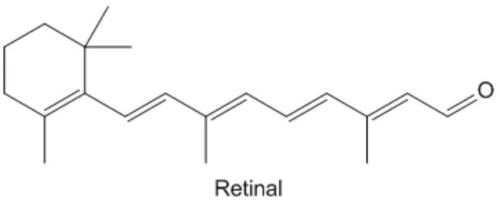 Retinal